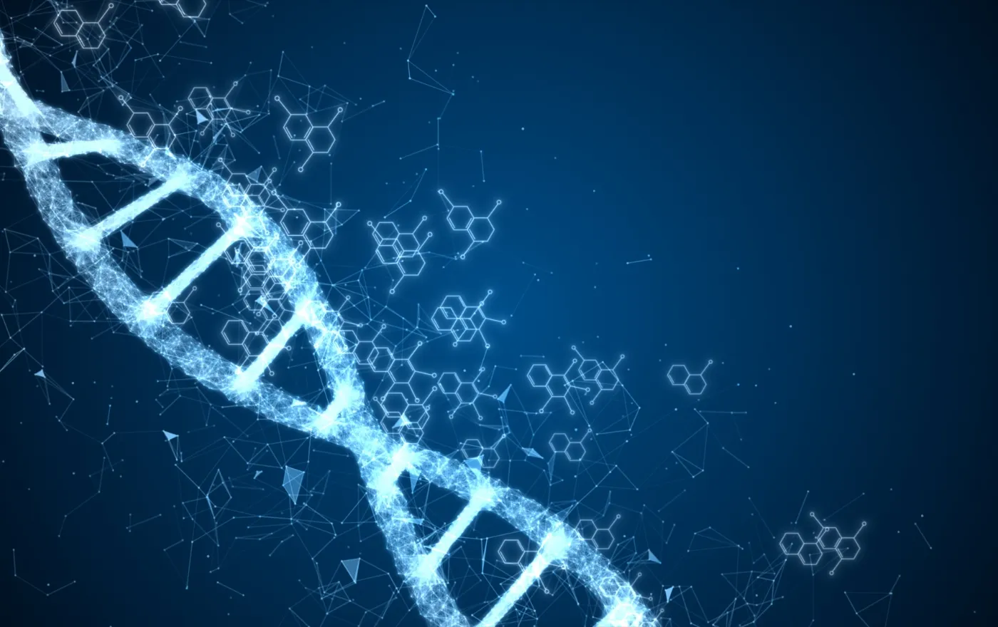 食道外科 / 研究の紹介